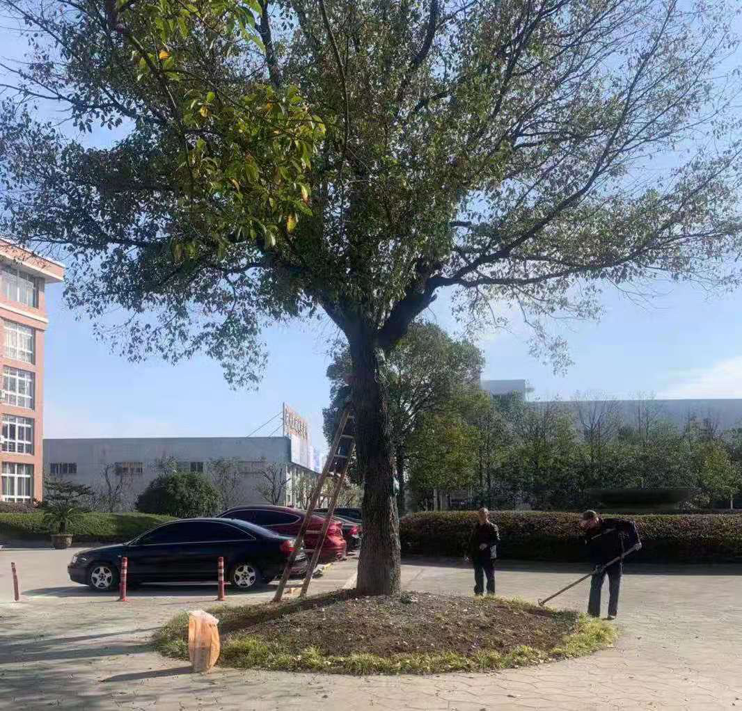 科學養護、美化環境